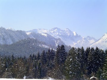 Winterbild
