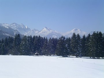 Winterbild