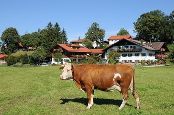 Haus