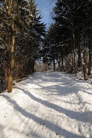 Winterwanderweg